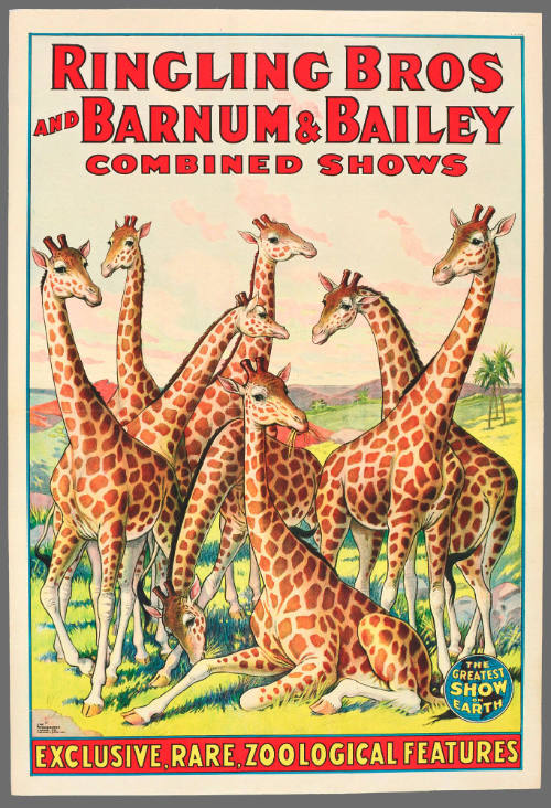 Ringling Bros and Barnum & Bailey Combined Shows: Exclusive, Rare, Zoological Features