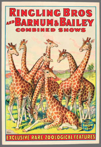 Ringling Bros and Barnum & Bailey Combined Shows: Exclusive, Rare, Zoological Features