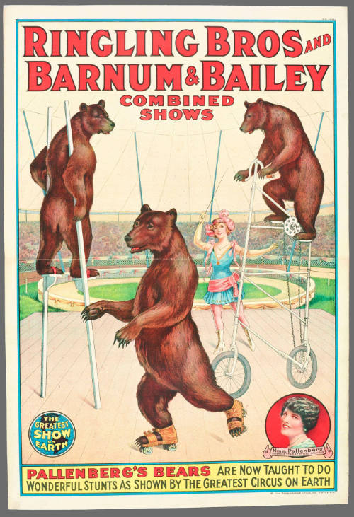 Ringling Bros and Barnum & Bailey Combined Shows: Pallenberg's Bears