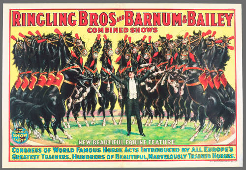 Ringling Bros and Barnum & Bailey Combined Shows: New Beautiful Equine Feature / Congress of World Famous Horse Acts Introduced by All Europe's Greatest Trainers. Hundreds of Beautiful, Marvelously Trained Horses.