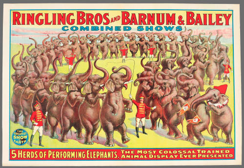 Ringling Bros and Barnum & Bailey Combined ShowsL 5 Herds of Performing Elephants, the Most Colossal Trained Animal Display Ever Presented