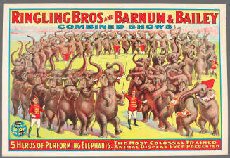 Ringling Bros and Barnum & Bailey Combined ShowsL 5 Herds of Performing Elephants, the Most Colossal Trained Animal Display Ever Presented