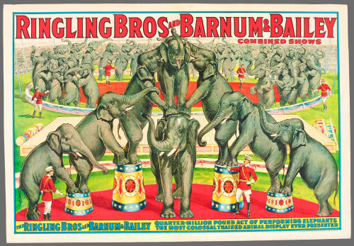 Ringling Bros and Barnum & Bailey Combined Shows: The Ringling Bros & Barnum & Bailey Quarter-Million Pound Act of Performing Elephants