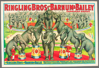 Ringling Bros and Barnum & Bailey Combined Shows: The Ringling Bros & Barnum & Bailey Quarter-Million Pound Act of Performing Elephants