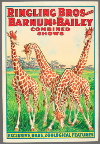 Ringling Bros and Barnum & Bailey Combined Shows: Exclusive, Rare Zoological Features