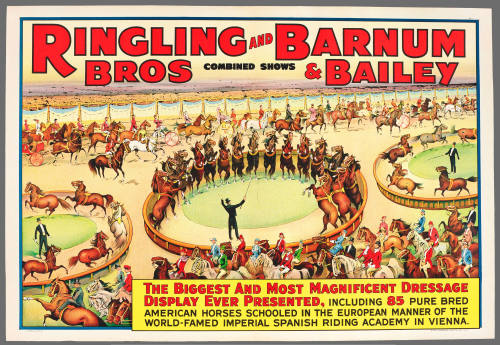Ringling Bros and Barnum & Bailey Combined Shows: The Biggest and Most Magnificent Dressage Display Ever Presented