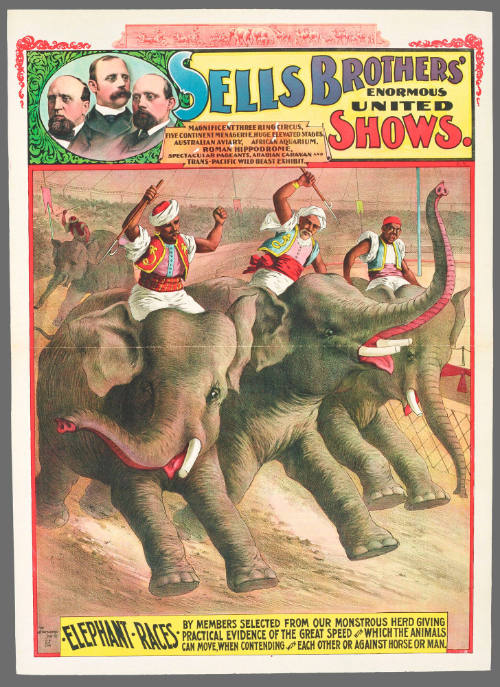 Sells Brothers' Enormous United Shows: Elephant Races