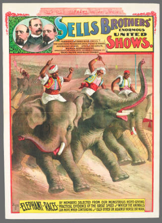 Sells Brothers' Enormous United Shows: Elephant Races