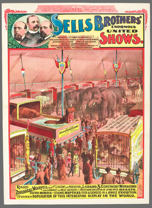 Sells Brothers' Enormous United Shows: Rare Zoological Marvels Seen Only in Extent and Perfection in Our Grand 5 Continent Menagerie