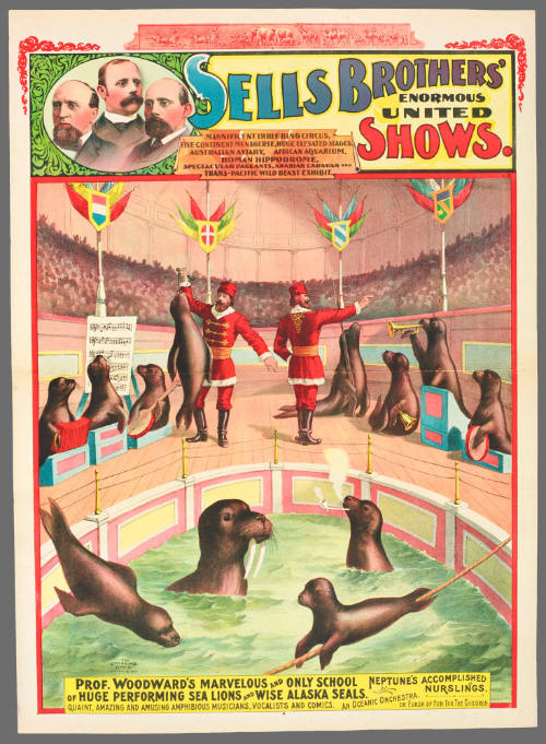 Sells Brothers' Enormous United Shows: Prof. Woodward's Marvelous and Only School of Huge Performing Sea Lions and Wise Alaska Seals