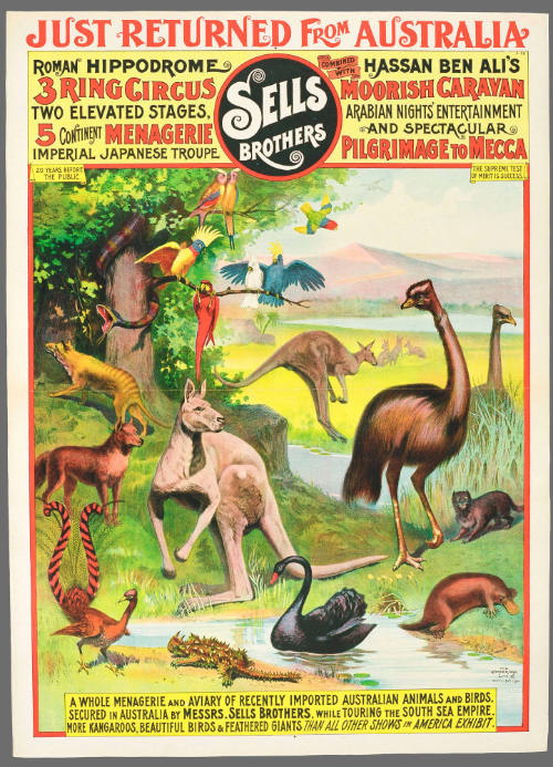 Sells Brothers: A Whole Menagerie and Aviary of Recently Imported Australian Animals and Birds.