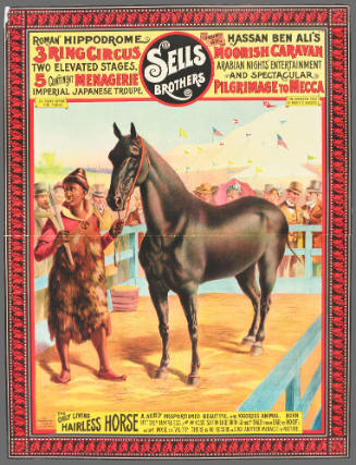 Sells Brothers: The Only Living Hairless Horse