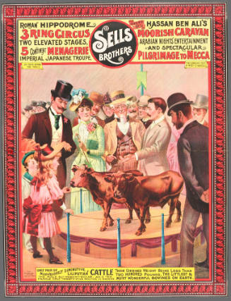 Sells Brothers: Only Pair of Marvelously Diminutive Liliputian Cattle