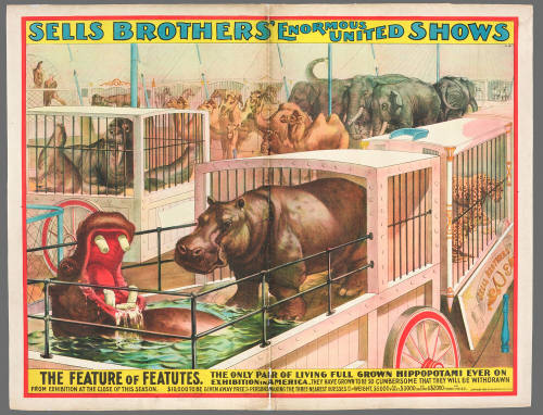 Sells Brothers' Enormous United Shows: The Feature of Features. The Only Pair of Living Full Grown Hippopotami Ever on Exhibition in America