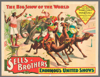 Sells Brothers Enormous United Shows: Ponderous Elephants and Awkward Camels in Uncommon Racing Exploits Driven by Native Sons of the Desert.
