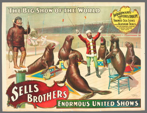 Sells Brothers Enormous United Shows: Woodward's Marvelous Troupe of Trained Sea Lions and Alaskan Seals.