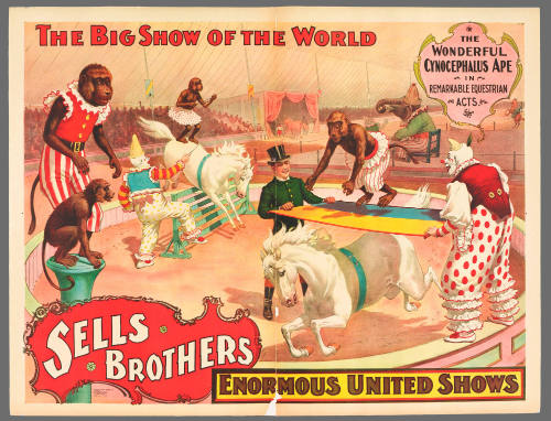 Sells Brothers Enormous United Shows: The Wonderful Cynocephalus Ape in Remarkable Equestrian Acts.