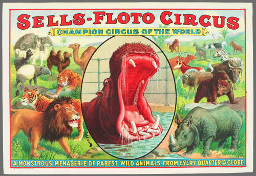 Sells-Floto Circus: A Monstrous Menagerie of Rarest Wild Animals from Every Quarter of the Globe