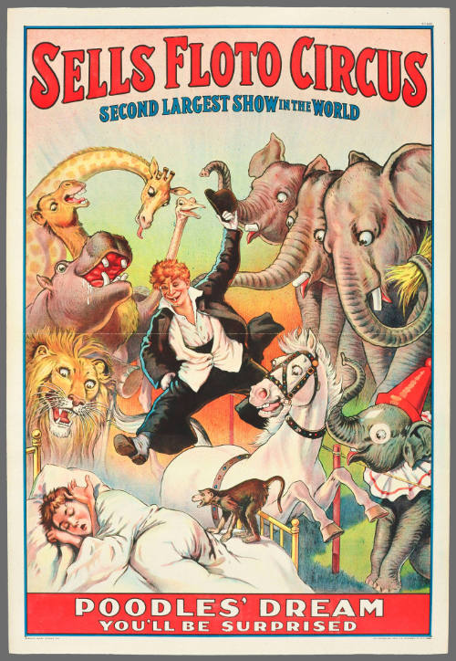 Sells-Floto Circus: Poodles' Dream / You'll be Surprised