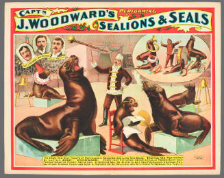Capt'n J. Woodward's Performing Sea Lions & Seals