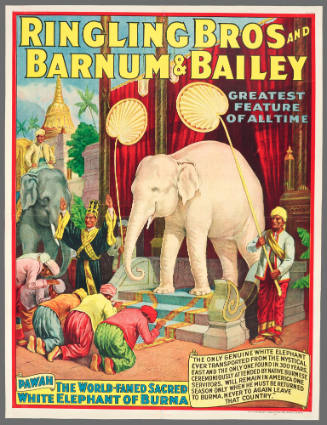 Ringling Bros and Barnum & Bailey: Pawah the World-Famed Sacred White Elephant of Burma