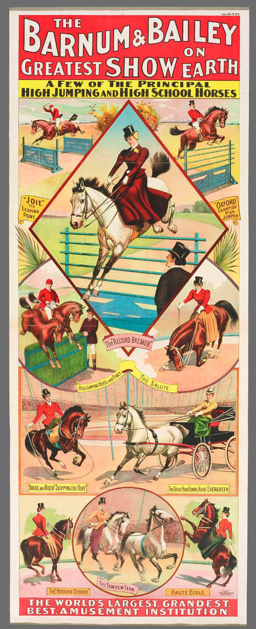 The Barnum & Bailey Greatest Show on Earth: A Few of the Principal High Jumping and High School Horses