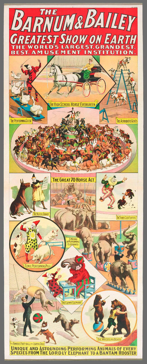 The Barnum & Bailey Greatest Show on Earth: Unique and Astonishing Performing Animals of Every Species from the Lordly Elephant to the Bantam Rooster