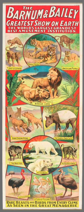 The Barnum & Bailey Greatest Show on Earth:  Rare Beasts and Birds from Every Clime as Seen in the Great Menagerie