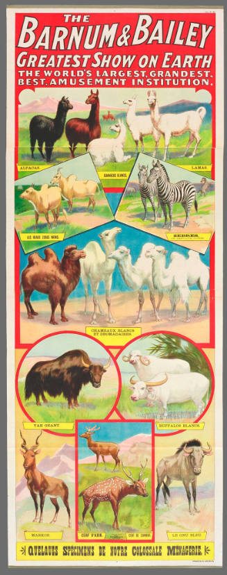 The Barnum & Bailey Greatest Show on Earth:  Quelques Spécimens de Notre Colossale Ménagerie