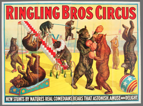 Ringling Bros Circus: New Stunts by Nature's Real Comedians. Bears That Astonish, Amuse and Delight