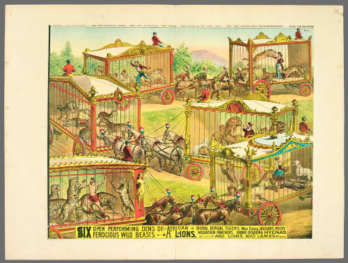 Six Open Performing Dens of Ferocious Wild Beasts