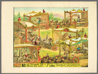 Six Open Performing Dens of Ferocious Wild Beasts