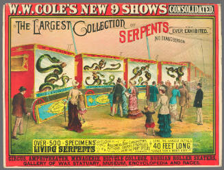 Forepaugh's Great Aggregation Museum, Menagerie and Triple Circus: The Largest Collection of Serpents Ever Exhibited.