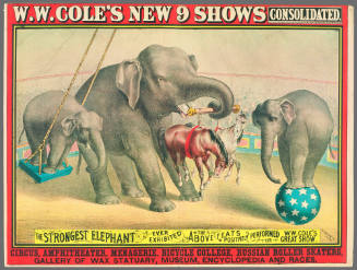 W.W. Cole's New 9 Shows Consolidated: The Strongest Elephant Ever Exhibited