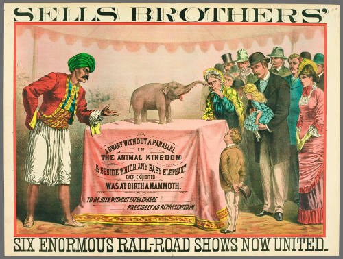 Sells Brothers': A Dwarf without a Parallel in the Animal Kingdom & Beside Which Any Baby Elephant Ever Exhibited was at Birth a Mammoth
