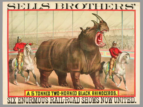 Sells Brothers': A 5 Tonned Two-Horned Black Rhinoceros