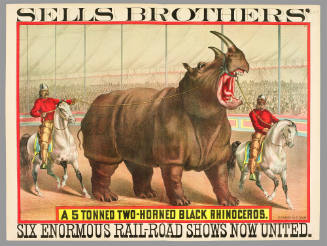 Sells Brothers': A 5 Tonned Two-Horned Black Rhinoceros