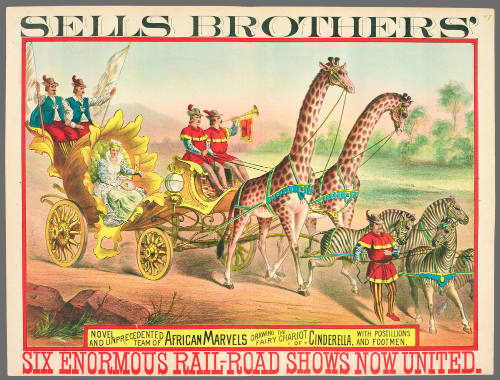 Sells Brothers': Novel and Unprecedented Team of African Marvels Drawing the Fairy Chariot of Cinderella