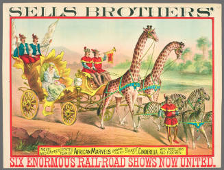 Sells Brothers': Novel and Unprecedented Team of African Marvels Drawing the Fairy Chariot of Cinderella