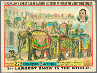 Forepaugh's Great Aggregation Museum, Menagerie and Triple Circus:  22 Performing Elephants
