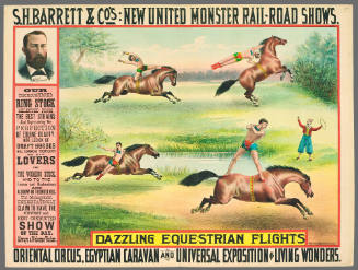 S.H. Barrett & Co: Dazzling Equestrian Flights