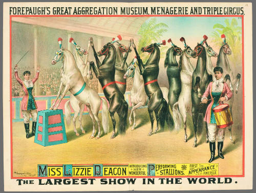 Forepaugh's Great Aggregation Museum, Menagerie and Triple Circus: Miss Lizzie Deacon Introducing Her Wonderful Performing Stallions.