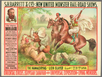 S.H. Barrett & Co: The Hamadryas or Lion-Slayer Attacking a Lion and Method of Capture.