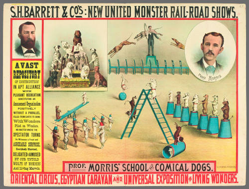 S.H. Barrett & Co: Prof. Morris' School of Comical Dogs