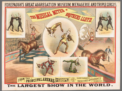 Forepaugh's Great Aggregation Museum, Menagerie and Triple Circus: The Musical Mites /  Brothers Lloyd
