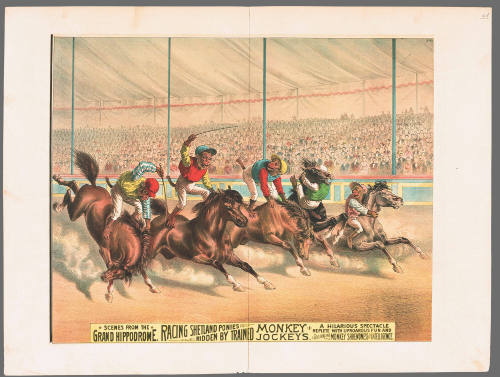 Scenes from the Great Hippodrome. Racing Shetland Ponies Ridden by Trained Monkey Jockeys