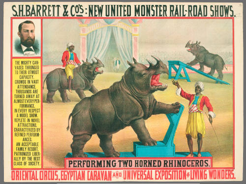 S.H. Barrett & Co: Performing Two Horned Rhinoceros