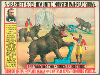 S.H. Barrett & Co: Performing Two Horned Rhinoceros
