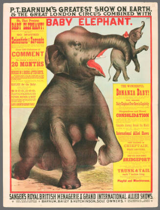 P.T. Barnum's Greatest Show on Earth & the Great London Circus: Baby Elephant