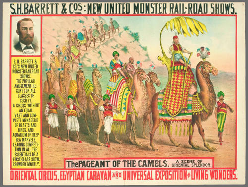 S.H. Barrett & Co: The Pageant of the Camels